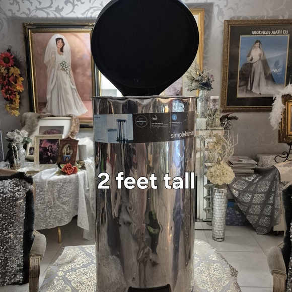 Simplehuman Stainless Steel Bin with Black Lid - Picture 1 of 3